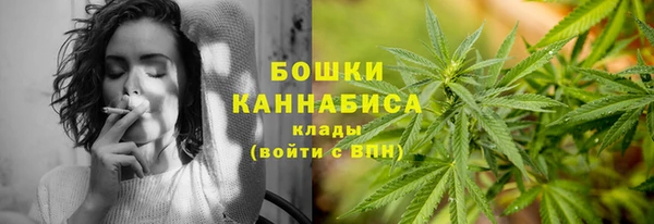 стафф Богданович