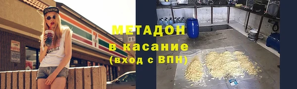 индика Богородицк